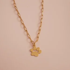 COLLAR MASCOTA (PERSONALIZABLE)
