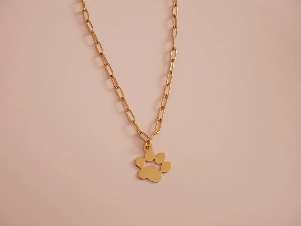 COLLAR MASCOTA (PERSONALIZABLE) - Imagen 2