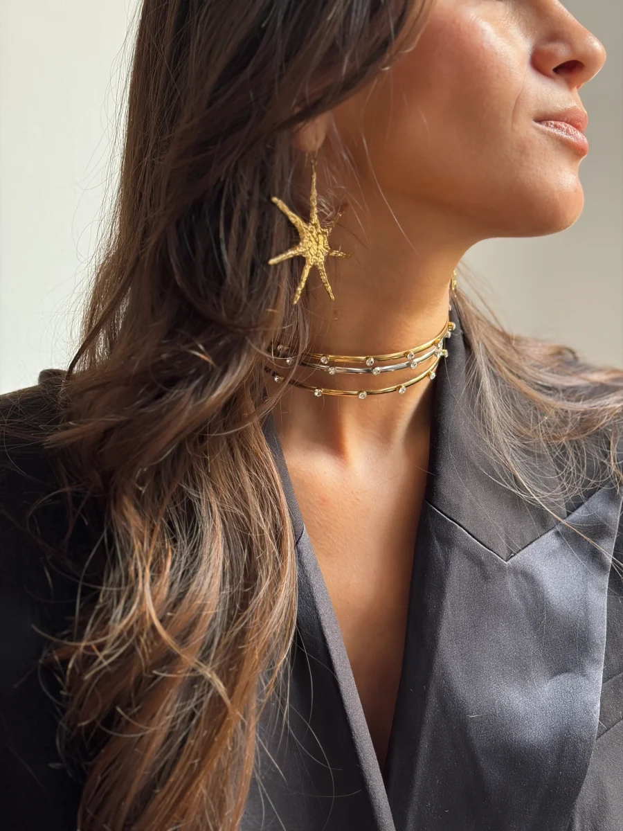 CHOKER LINEA CIRCONITAS - Imagen 3