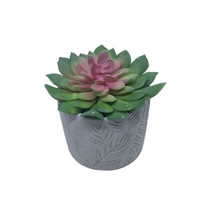 Adorno Planta CH. AGU-6739