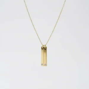 COLLAR DOUBLE LINE CIRCON (personalizable)