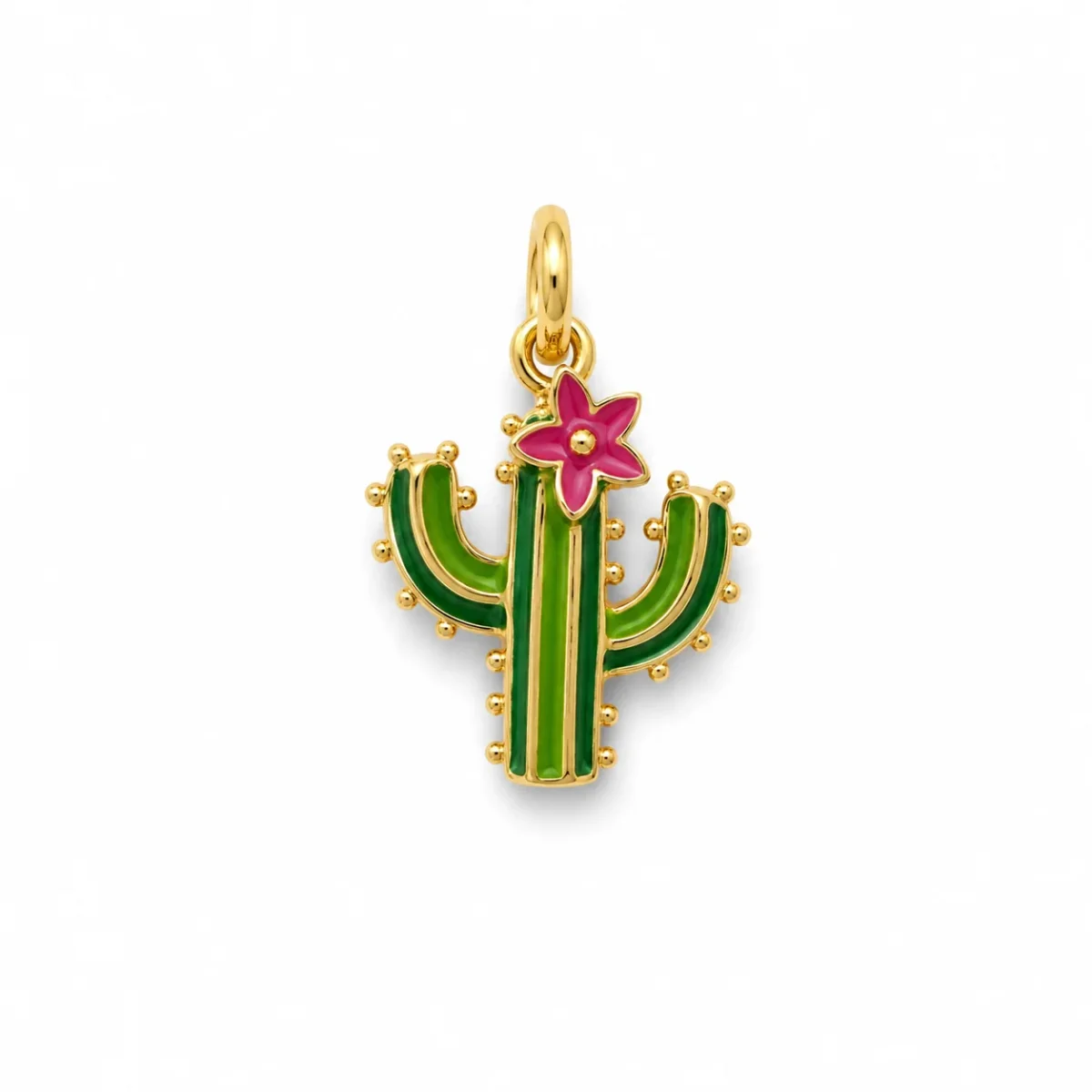CHARM CACTUS - Imagen 2