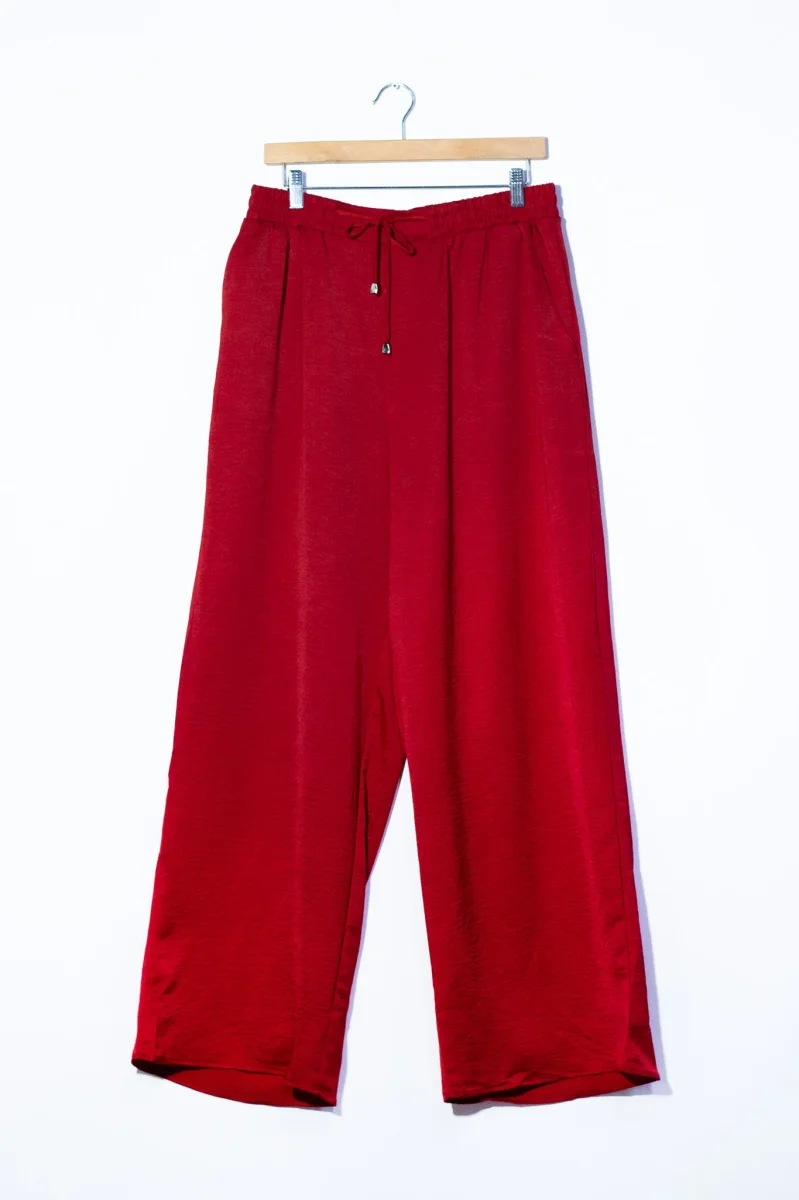Set Curvy Pantalón Satín Brillo Sutil Elegante Eventos - Imagen 6