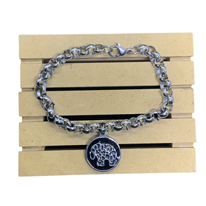 Pulsera de acero CH. AGZ-244