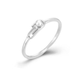 Anillo Clip