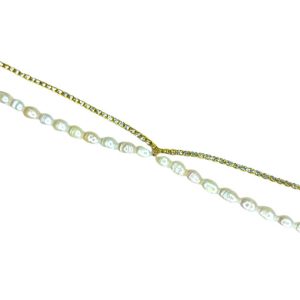 Collar Blurred