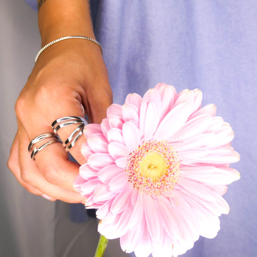 Anillo Rete - Imagen 3