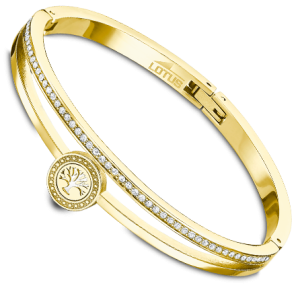 Pulsera rígida doble tira central dorada.